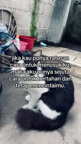 #katakata #bucinstory #beranda #xyzbca #fyp 