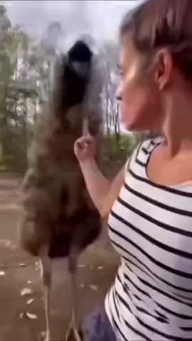 No salió como pensaba 🥲 #parati #humor 