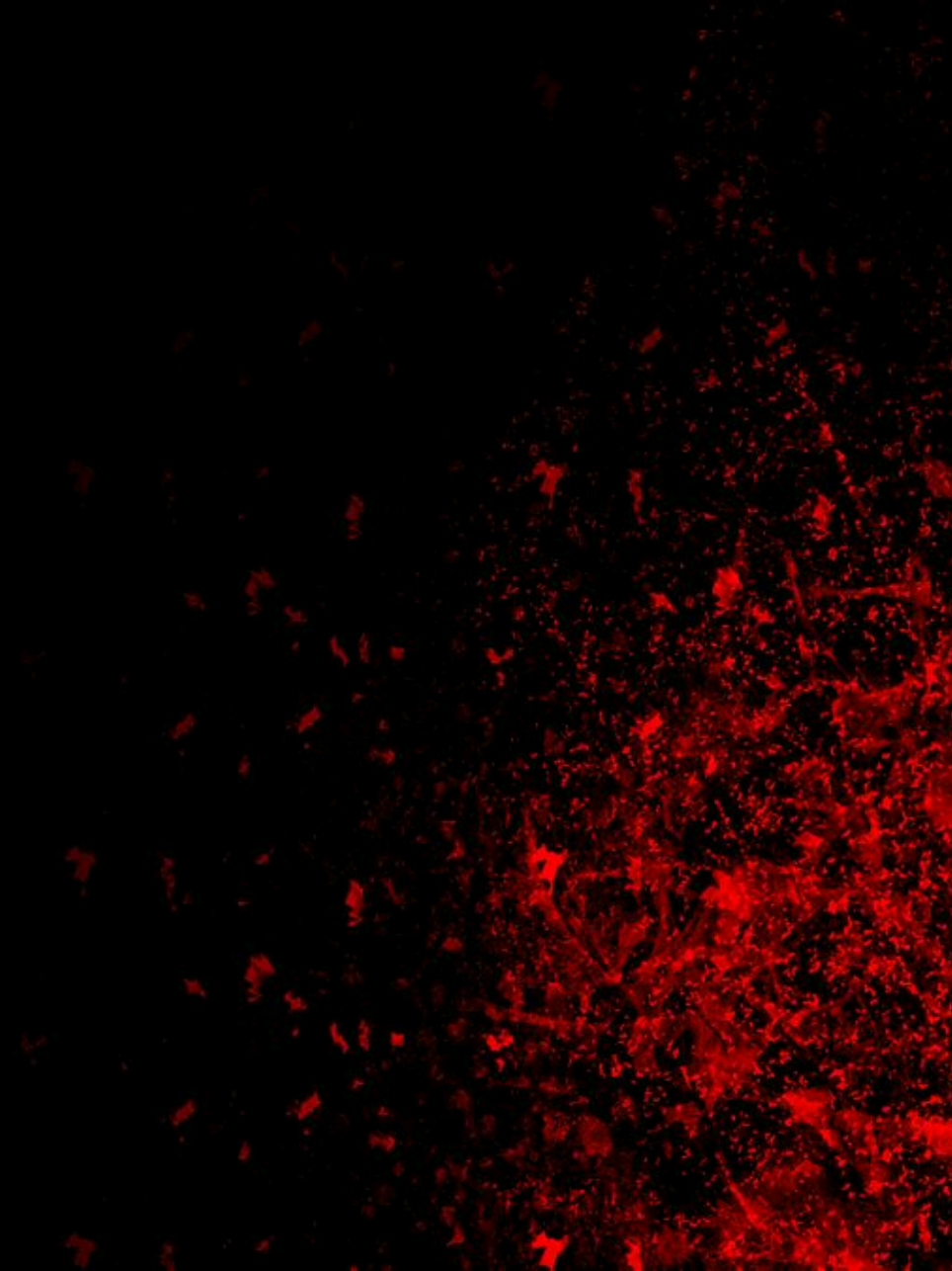 first time making an edit, kinda nervous #diaboliklovers #reiji #reijisakamaki #edit #reijisakamakiedit