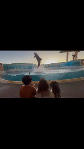 久しぶりのお出かけでした🐬 #水族館#江ノ島#イルミネーション#神奈川