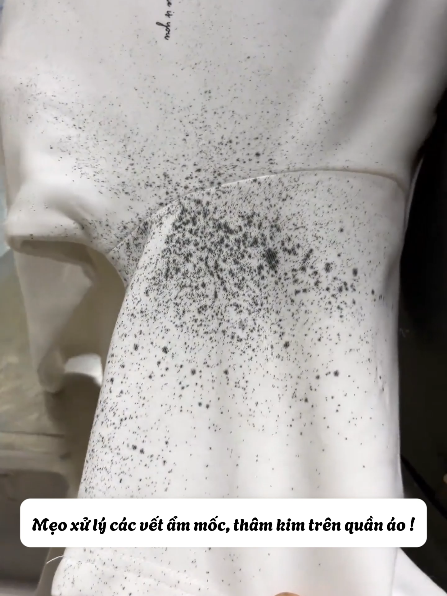 Mẹo xử lý các vết ẩm mốc và thâm kim lâu ngày bám dính trên quần áo - Nhanh dễ làm, khôi phục lại độ trắng sạch như ban đầu! #tayvetmoc #vetovang #meogiatquanao #meohaymoingay #lifetips #tipshay #trending #viral #fypppppppppppppp
