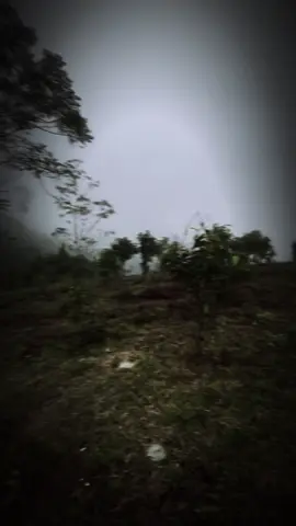 Trên này ấm hơn thái nguyê mik 😇#xh #xuhuong #tuyenquang 