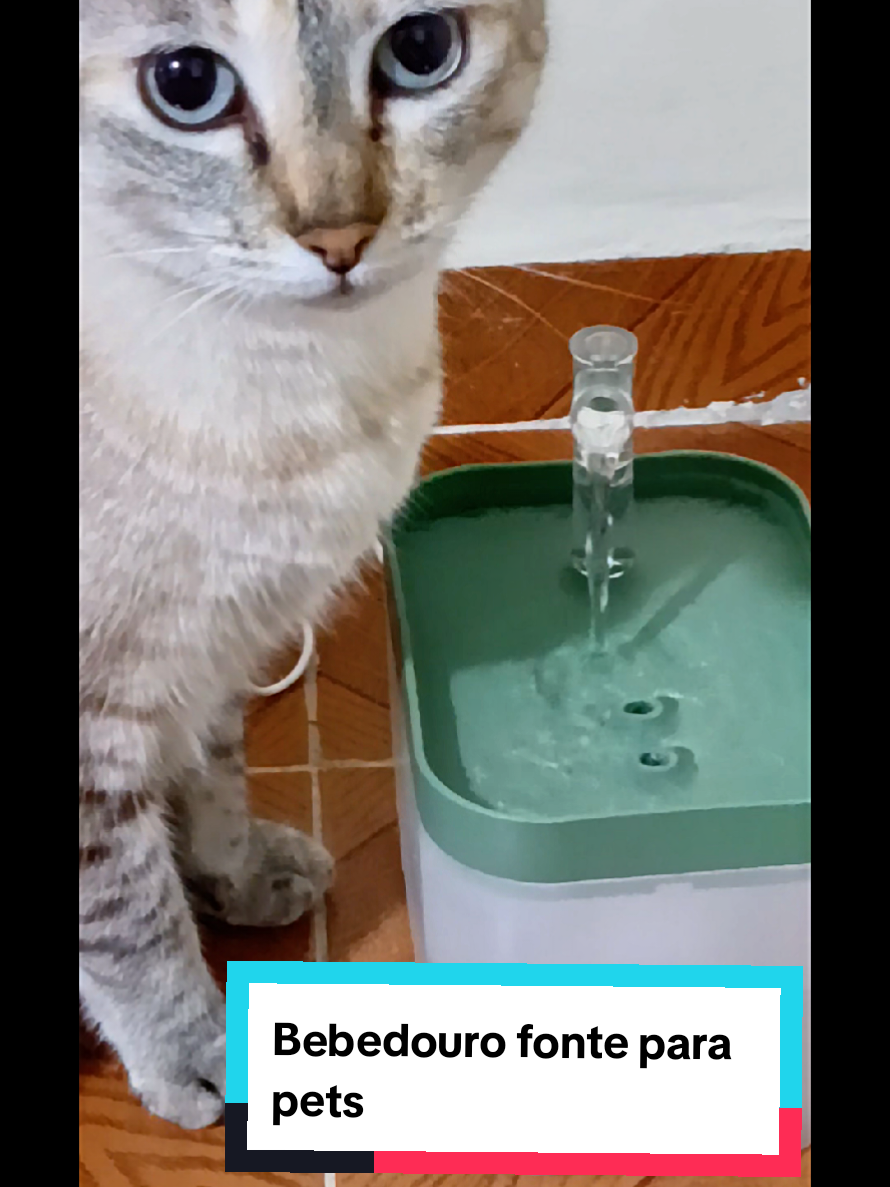 Material da fonte de água do gato feito de qualidade alimentar: Este design da fonte de água do gato cuida de animais de estimação saudável, usa bom material, bebendo mais relaxado. Além disso, com vários filtros (consulte 3 filtros de reposição), torna a água mais limpa e saudável para seus gatos e cães. Além disso, a fonte de água pode ser destacável #bebedouropets #fontedeaguaparagatos #tiktokshopblackfriday #bebedourodeagua 