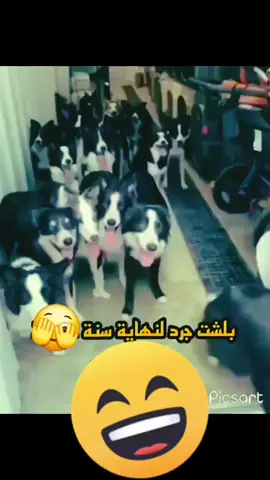 #في هذا اليوم