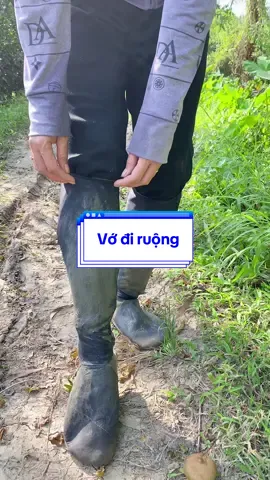 Vớ đi đồng đi ruộng#tiemnhabatu #vodidongdiruong 