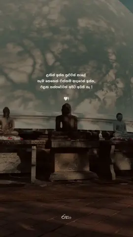 හැමෝම පරිස්සමෙන් ඉන්න !🤍#fyp#viral#foryou#crazy_rana💟#පිටිගල_අපි 