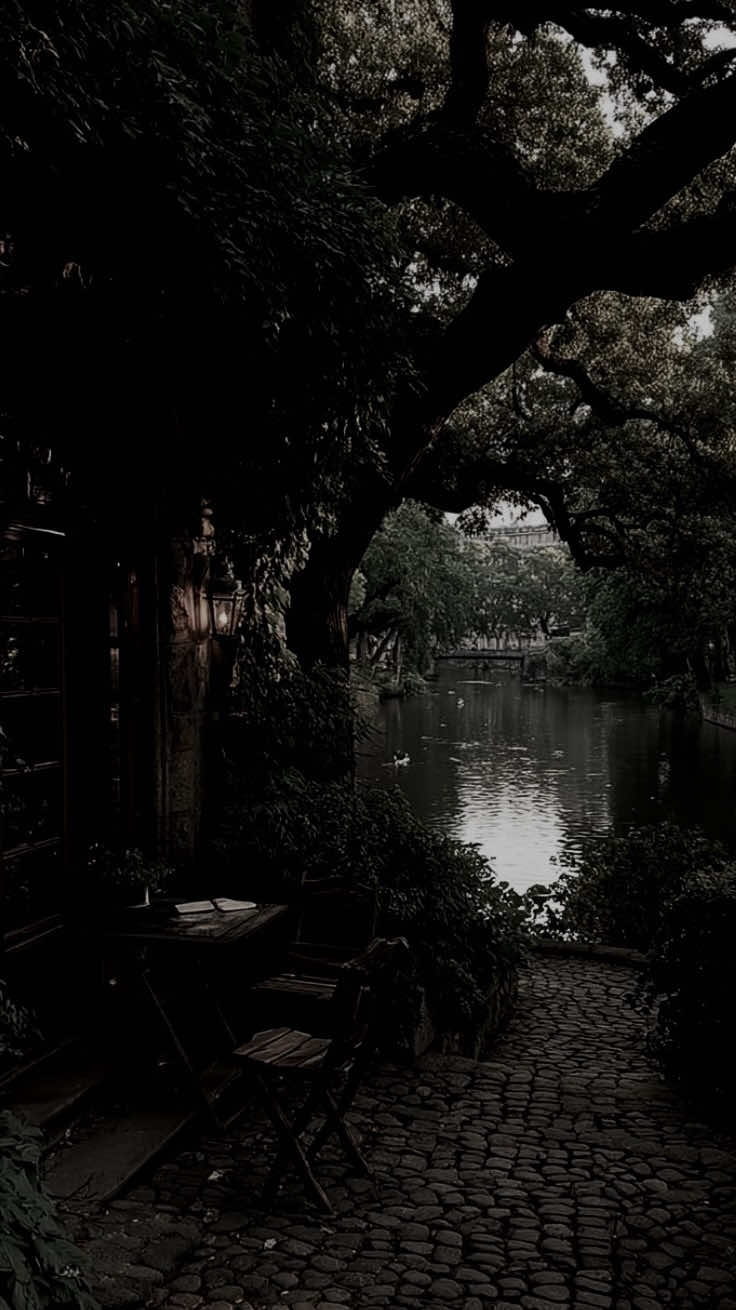 Người còn nhiều lắng lo#sbtentertainment #fyp #nhactamtrang #nhachaymoingay 