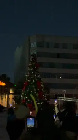 evento puertomontino, ver cómo prenden las luces del árbol de la plaza #puertomontt #navidad #foryou #fyp 