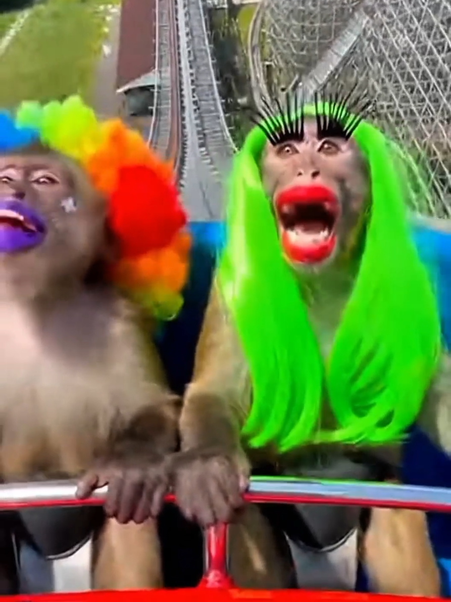 These Monkeys Were not ready for the Drop 🐒😂🎢#monkey #screaming #rollercoaster #sora 