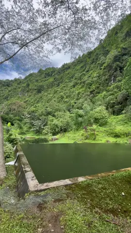 Naturalplease🦋🍃💫