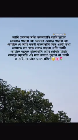 আমি তোমাকে সত্যি ভালোবাসি আমি হয়তো বোঝাতে পারবো না! তোমাকে দেখাতে পারবো না! তোমাকে যে আমি কতটা ভালোবাসি, কিন্তু একটা কথা তোমাকে মন থেকে বলতে পারবো, সত্যি আমি তোমাকে অনেক ভালোবাসি আমি তোমার মায়ায় আসক্ত হয়েগেছি! এই মায়া কখনও ফুরাবে না, আমি যে সত্যি তোমাকে ভালোবাসি