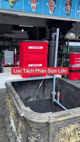 Bộ Lọc Tách Phân Size Lớn . dùng cho chậu cảnh , tank bạc , chậu xi măng , chậu nhựa #thanhaquahue #lọchồcá #lọcbaki #chépsưtửtrắng #cákoi 