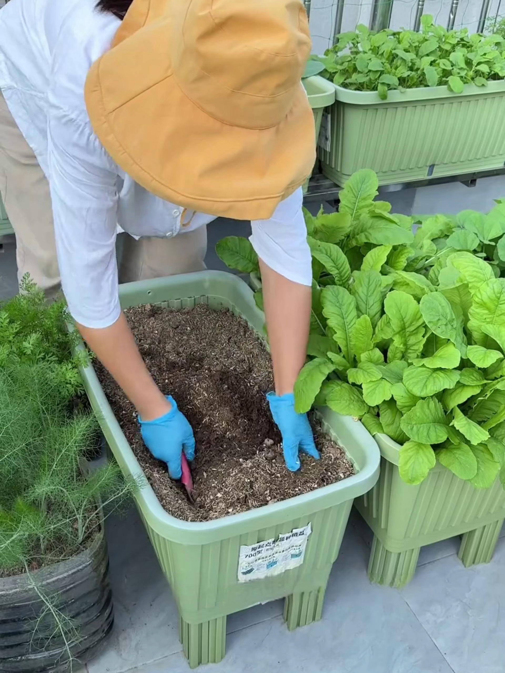 Satu bata kelapa kecil je, rendam terus jadi banyak, tanam bunga atau sayur memang cukup. #BataKelapaJimatanRuang #RendamTerusKembang #AlatBerkebun