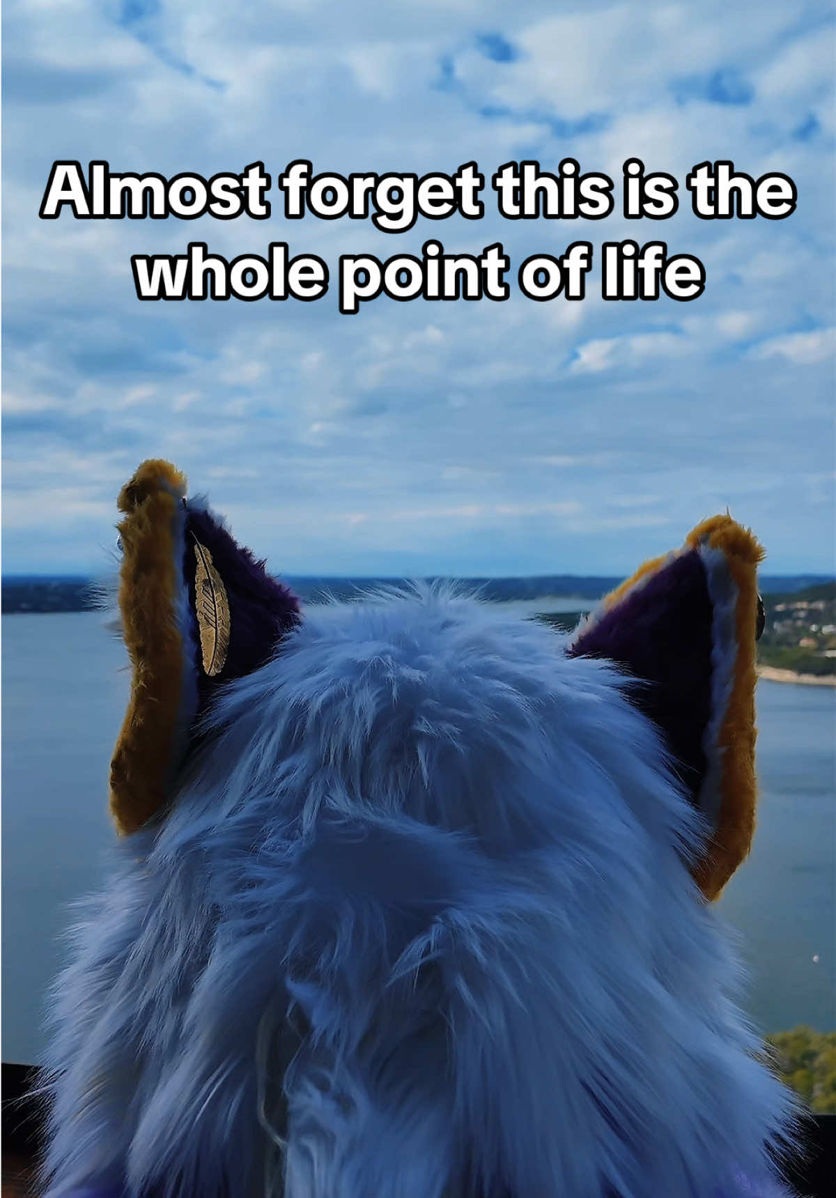 I hope all the people at the bar don’t mind us 🤭 #fyp #furry #furrytiktok #furrycommunity #fursuiter 