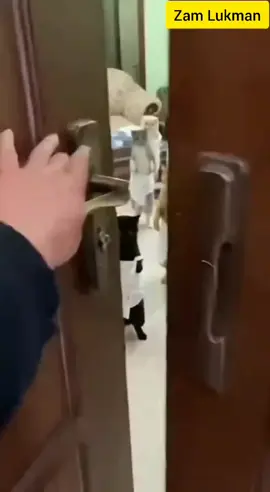 Serbuan mengejut... Namun masih takda bukti. #fyp 