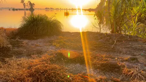 Cái không khí này nó sắp tới rồii🥰❤️#chil #binhyen #canhdepthiennhien #tet2026 #xuhuongtiktok 