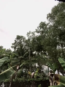 “幸福的关键不在于找到完美的人，而在于学会看到不完美的人身上的完美之处。““Chia khóa của hạnh phúc không phải là tìm được người hoàn hảo, mà là học cách nhìn thấy sự hoàn hảo trong một người không hoàn hảo#xuhuongtiktok #fyp #tamtrang #xh #xuhuongtiktok 