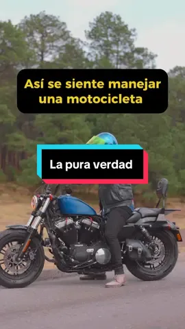 Niéguenlo 🥰 #soyeriksinc #moto #harleydavidson #fortyeight #sportster 