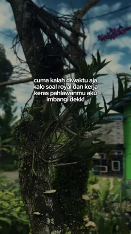 Tak imbagi#fyp #storywa #quotes #fypviralシ #CapCut 