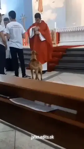 ♥️💕 #cristovive #animales #cristoteama #edit #amorporlosanimales 