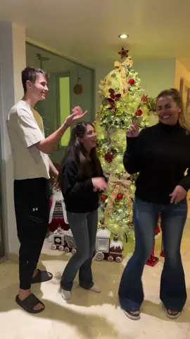 Armando el arbolito de navidad nos salió bailecito con @paula @santiagorulli 