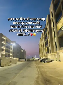 #foryou #foryoupage #viralvideos #tiktoknews 