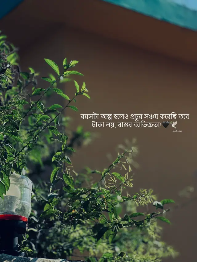 hea❤️‍🩹#death_sifat  #foryou #foryoupage #vairalvideo #repost 