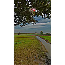 Muhbt ki bheek kio mangte ho😫🥀❤️‍🩹🙌🏻 #شانی_لیاقت_پور_آلہ🚩 #100kviews✔️ #foryoupage❤️❤️ #unfreezemyaccount #plzzz_saport_me @³⁸⁵-lover💸💯 @علی شیر🕷️ @Your Seki❤️‍🔥 @ٹریکٹرؔ راجؔ تھلؔ داؔ @TikTok Pakistan 