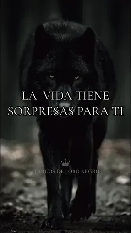 La vida tiene sorpresas para ti… pero solo si tienes el valor de avanzar. 🖤🐺 Espíritu fuerte | Motivación | Frases que despiertan . . . #motivation  #quotes  #fypusa  #latinosenusa  #lobonegro 