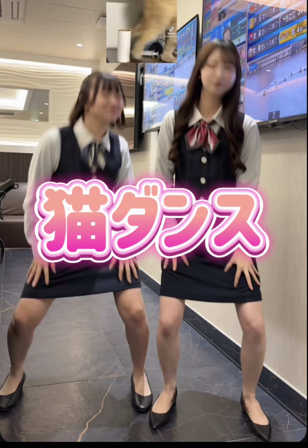 猫ダンスにチャレンジ #ボートレースチケットショップ栄  #BTS栄  #ボートレース  #競艇  #おすすめ  @るちゃん @まお 