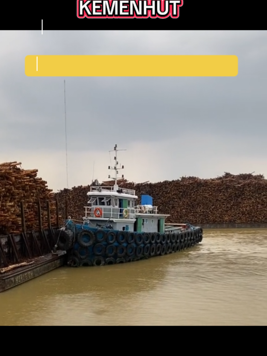 #kemenhut  #rakyatindonesia  SERIUS NANYA EMANG SIAPA YANG MILIH DIA.!