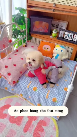 Áo phao bông ấm áp nè Sen ơi 🐶 #quanaochomeo #quanaothucung #quanaothucungcute #poodle #bunquystoc 