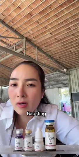 Baosting