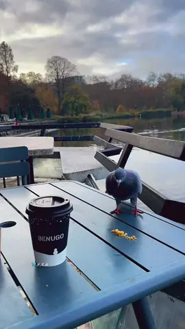 أهدئ قلبك قليلاً ،، فالقوة ليست في إدراك كل شيء ،، بل في الرضا بما لا يُدرك .. #صباح_الخير #تحفيز #كلام_من_القلب #tiktok #fyp 