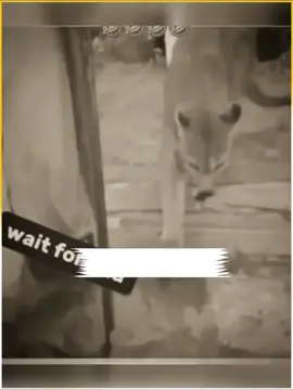 #flypシ #foryoupageofficiall #foryoupage😎foryoupage🔥🔥foryoypa #viral #funnyvideos 