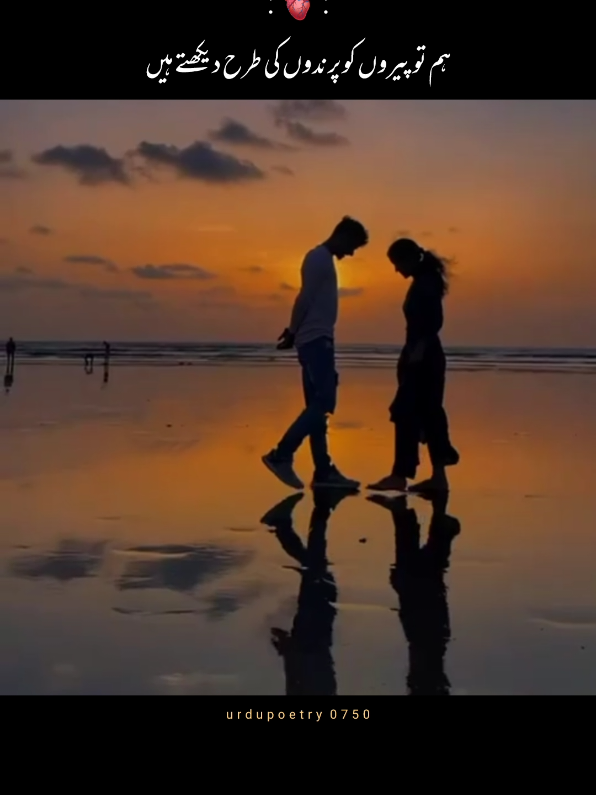 part 26 | 𝐇𝐚𝐦 𝐓𝐮 𝐏𝐡𝐞𝐫𝐨𝐧 𝐊𝐨 𝐏𝐚𝐫𝐢𝐧𝐝𝐨𝐧 𝐊𝐢 𝐓𝐚𝐫𝐚𝐡 𝐃𝐞𝐤𝐡𝐭𝐞 𝐇𝐚𝐢𝐧 . . #faryou #faryoupage #poetrystatus 