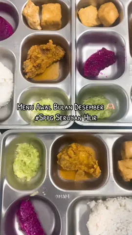 Ayam Barbeque, Nasi Putih, Timun Serut, Tahu Goreng, dan Buah Naga #sppgseruyanhilir #mbg 