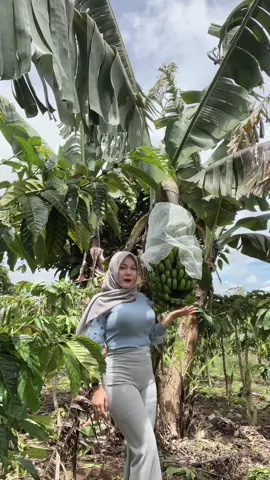Pisangnya panjang panjang😁🤪