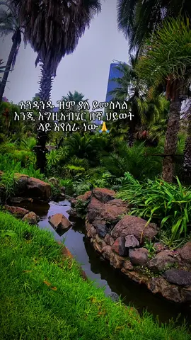 #qu #q #ሰንራይዝ #fypシ゚viral🖤tiktok #xyzbca @መንገደኛ 🚶‍♀️ @Lidiya🍁 @M @በረክ 💡 