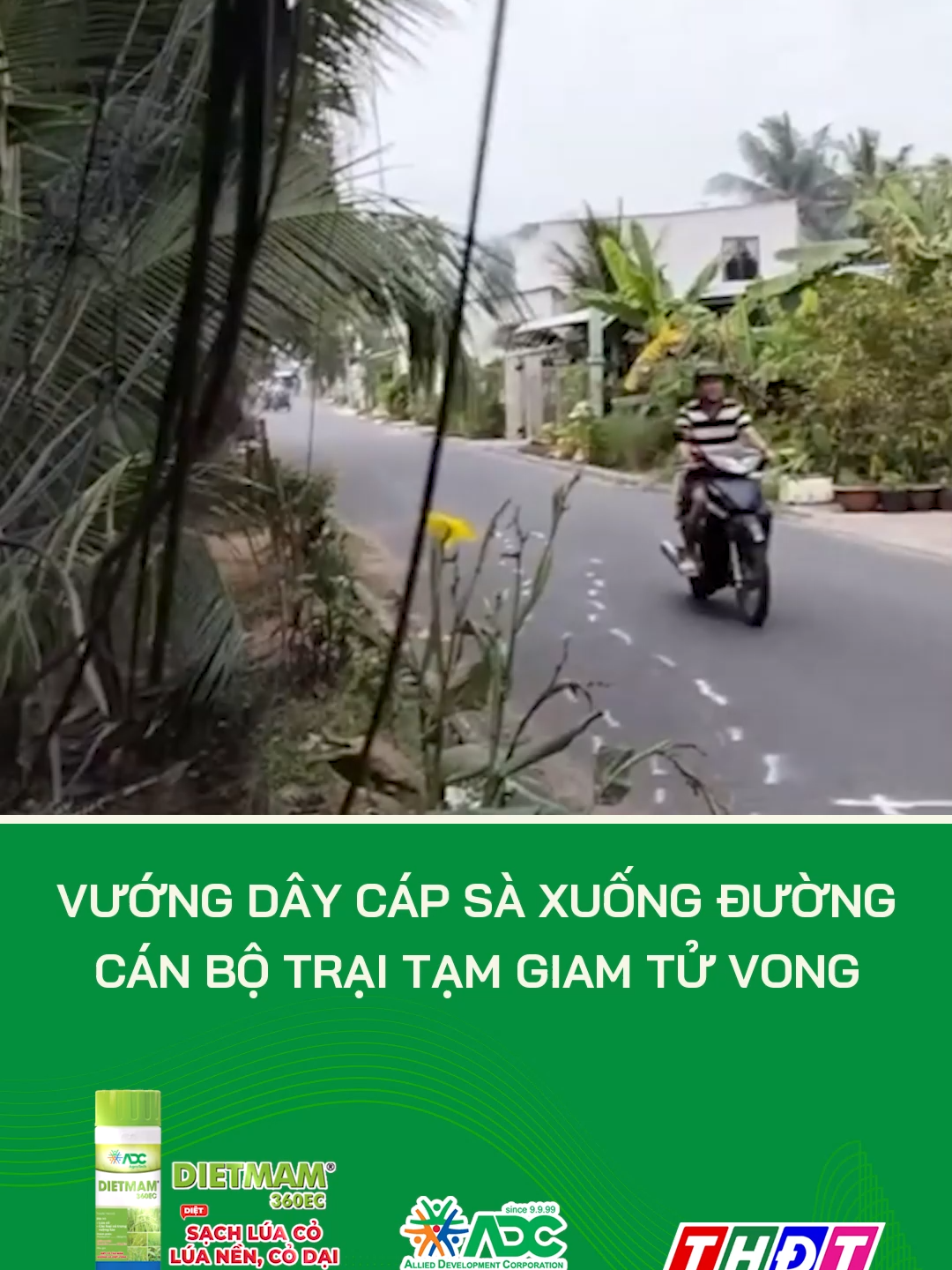 Vướng dây cáp sà xuống đường, một cán bộ công an ở Đồng Tháp tử vong #thdt #dongthaptv #tiktokthdt #truyenhinhdongthap #mcv #dongthap #tiktoknews