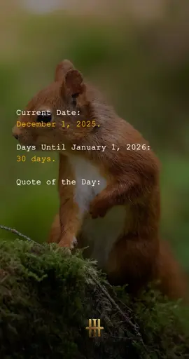 Happy birthday 🎂 🥳 🎉 to people born December 1...#uktiktok #fyppppppppppppppppppppppp #trendingvideo #quotesoftheday #adobeaftereffects 