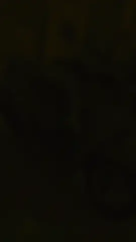 Please Welcome ‼️ Desember New Scoopy Ready | Kredit Dp mulai 5rb ✅ #scoopystylish #promohondasurabaya #kredithondasurabaya #tamuundangan #fypシ゚ 