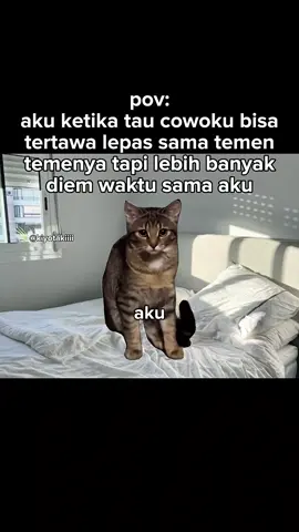 aku ga seseru itu ya buat kamu🥺 #meme #memekucing #kiyotakiiii #fyp #kucinglucu 