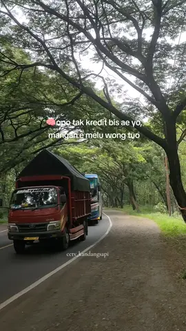 masok pora cah🗿🤣 W 7434 UY #sumbergroup #sumberselamat #sumberselamat🐬 #sugengrahayu #sugengrahayugroup  @CCTV_BIS JATIM_RACE02🤪 @𝗛 𝗔 𝗟 𝗟 𝗢 𝗗 𝗘 𝗘 @DapaaaTok 