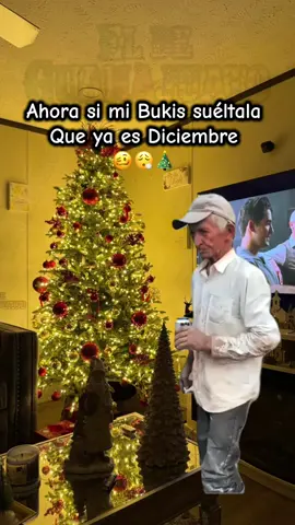 Ya suéltala mi buki 🎄😮‍💨 #navidadsinti #losbukis #navidad #parati #fyp