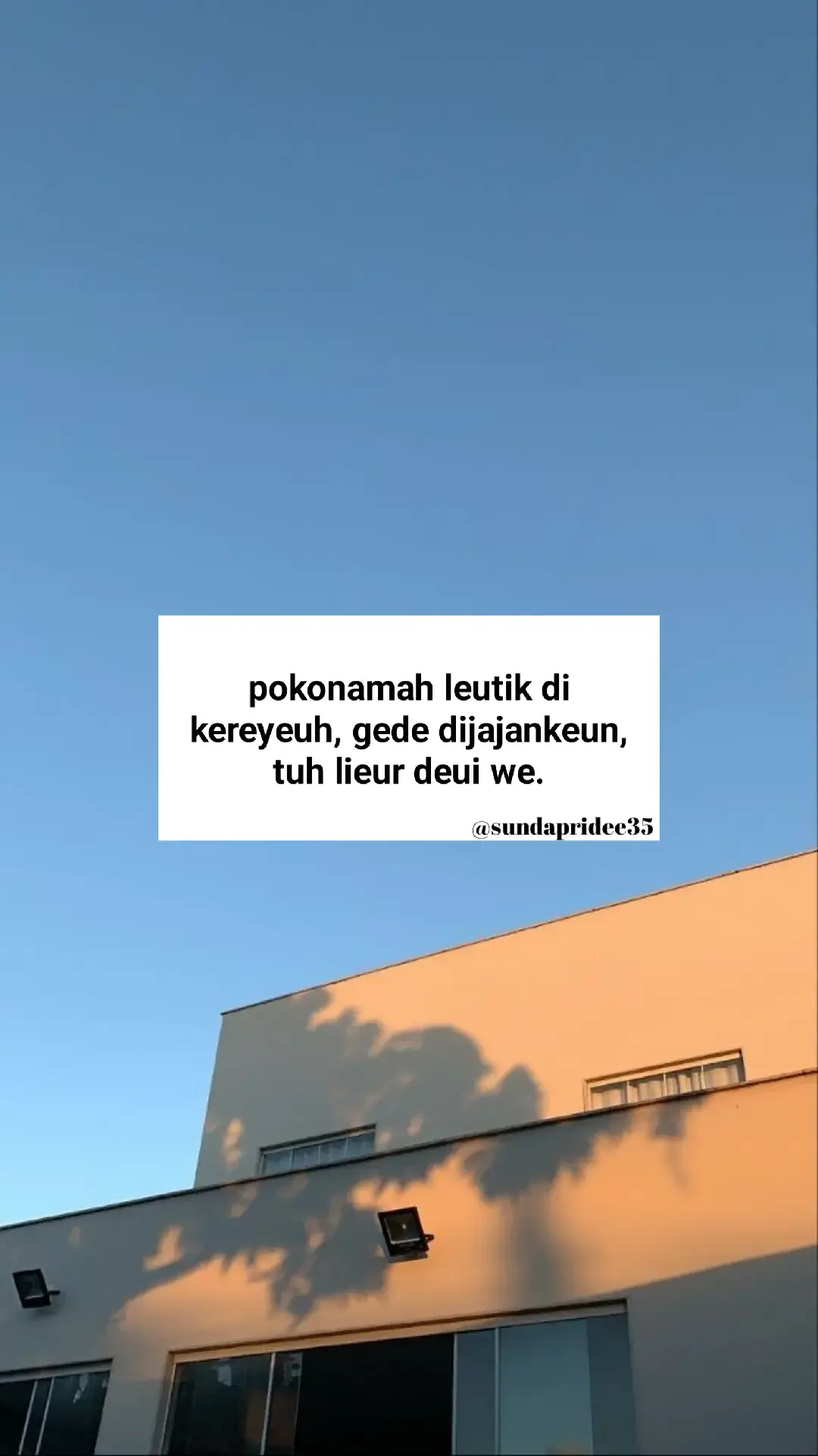 Bahan-bahan📝: 400 gram Daging kambing 1 sdm tepung tapioka 3 siung bawang merah 3 siung bawang putih 1 sdt ketumbar bubuk 1/2 sdt lada bubuk 1 sdt garam 1/2 sdt kaldu bubuk 3 sdm kecap manis Sambal kecap: 3 siung bawang merah 5 buah cabai rawit merah 1 buah tomat Secukupnya kecap manis Cara Membuat🥢: 1.Potong-potong daging kambing seukuran sate. Baluri secara merata dengan tepung tapioka dan diamkan sekitar 30 menit. Cuci di air mengalir dan tiriskan. 2. Haluskan bawang merah, bawang putih, ketumbar, lada bubuk dan garam. Lumuri daging dengan bumbu halus dan beri kaldu bubuk serta kecap manis. Aduk rata bumbu. Biarkan sesaat agar bumbu meresap. 3. Tusuk daging dengan tusukan sate. Lakukan hingga daging habis. Bakar sate hingga matang, dibolak-balik. 4. Siapkan sambal kecap. Iris bawang merah, cabai dan tomat. Beri secukupnya kecap manis. Sate siap dinikmati. #sundapridee35 #quotessunda