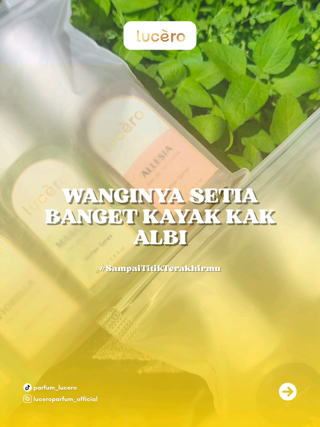 semprotan awal wangi fruity, semprotan kedua wangi kenangan yang kita lewati 🥹💗 kalo mau tau wangi laki-laki setia, langsung cek keranjang kuning buat dapat promo 5 in 1 beserta pouch cantik dari Lucero Parfum sekarang 👇🏻👇🏻 #parfumviral #parfum #luceroparfum #viral #fyp 