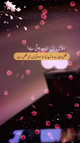 #👍💯 #✨❤️ #