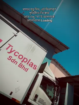 মায়ের যত্ন নিন, এই মিথ্যাপূর্ণ পৃথিবীতে নিঃস্বার্থ ভাবে শুধু 