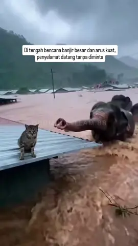 Bencana banjir ini menelan rumah dan jalan… tapi tidak menelan rasa kemanusiaan... #fy #fyp #fypシ゚ #banjir #foryoupage 